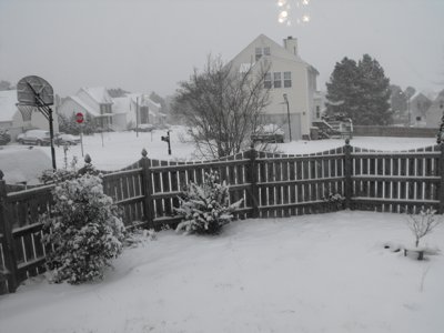 ./2009/Snow/thumbSnow